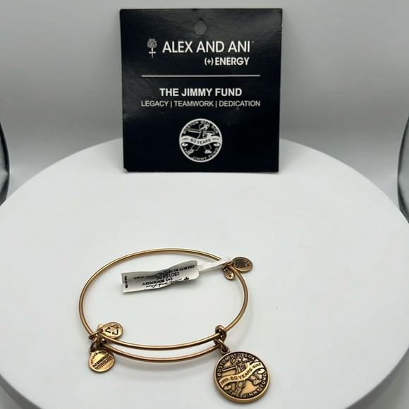 Alex and Ani the jimmy fund charm bracelet - Picture 1 of 3